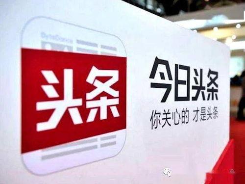 宝鸡今日头条大爆料,揭秘城市新鲜事与热点动态